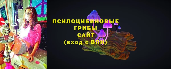 PSILOCYBIN Краснослободск