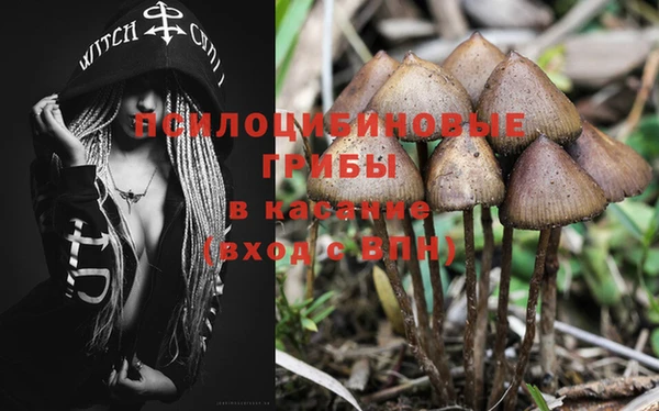 скорость Кукмор